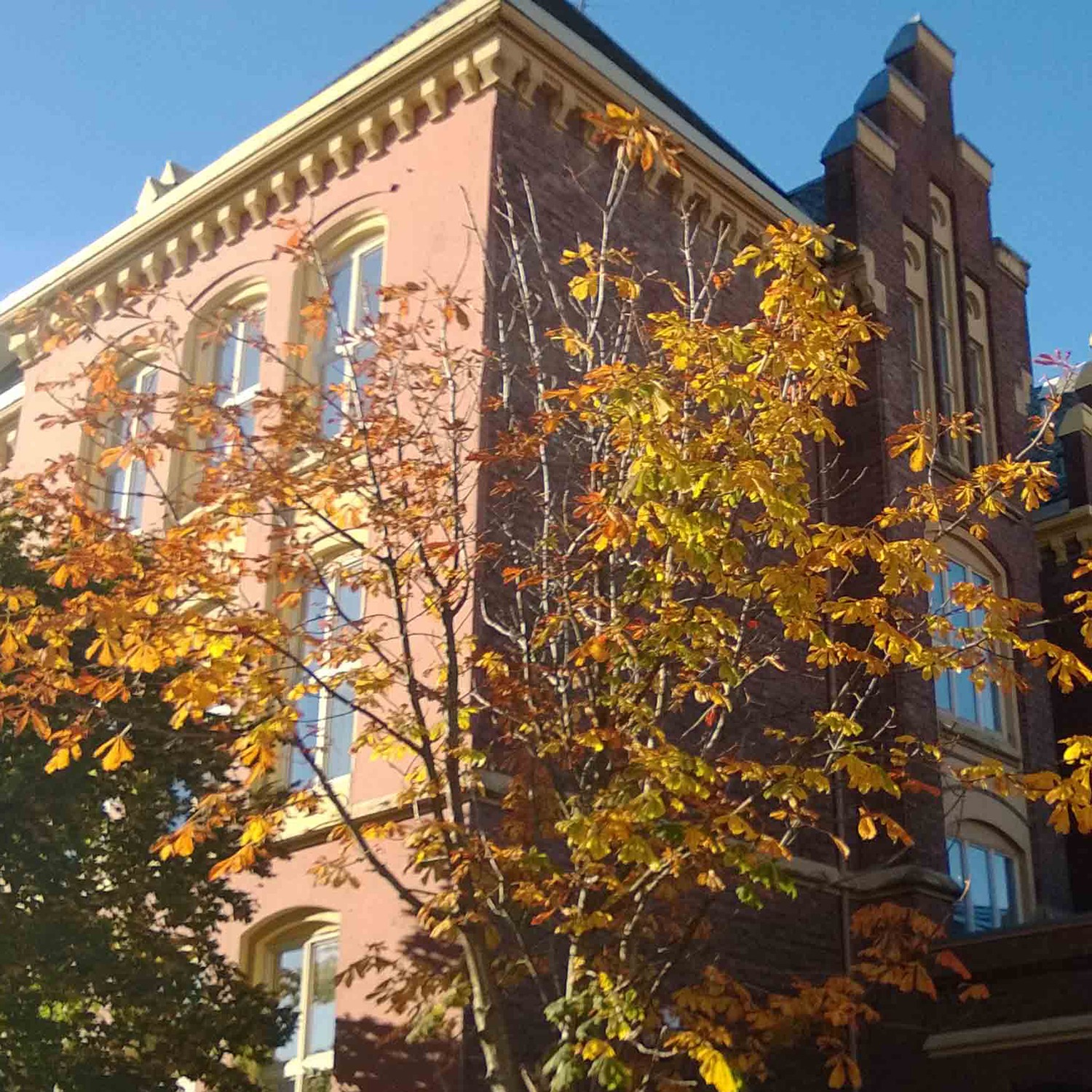 Lectures at the University of Bergen