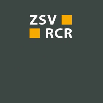 Just published – Verkehrs- und Rechtssicherheit bei Fahrzeugen mit einem Automatisierungssystem